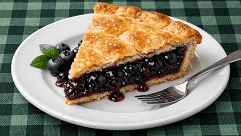 Quick and Easy Juicy Blueberry Pie