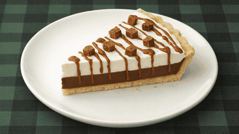 Chocolatey Reeses Peanut Butter Pie