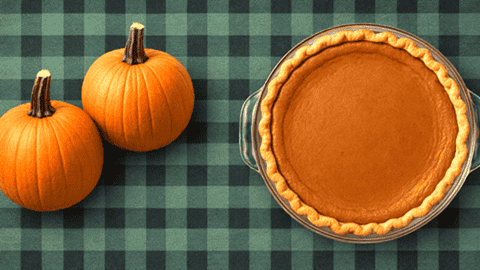 Pumpkin Pie With Sugar Pumpkins