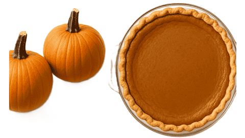 Pumpkin Pie and Sugar Pumpkins