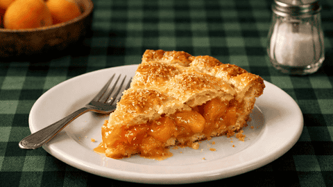 Easy Fresh Apricot Pie