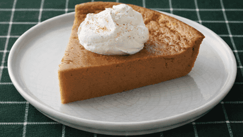Easy Pumpkin No Crust Pie